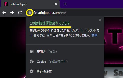 フェラチオジャパンの公式ページはSSL化されている