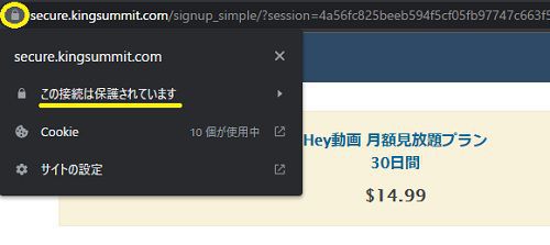 Hey動画月額見放題プラン決済ページはしっかりSSL化されている