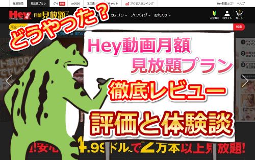 Hey動画月額見放題プランの入会体験談