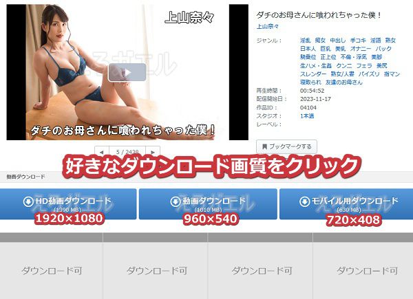 Pikkurでダウンロードする手順5