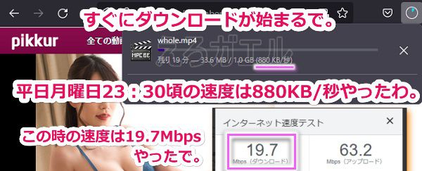Pikkurでダウンロードする手順8