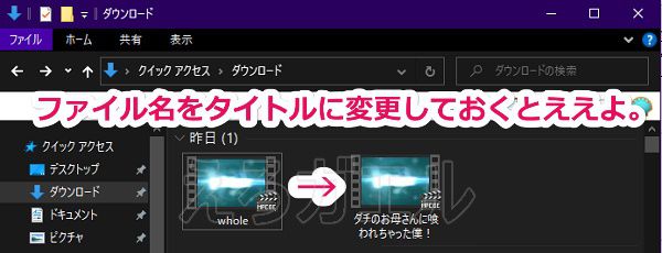 Pikkurでダウンロードする手順10