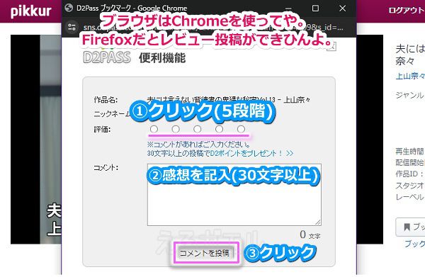 Pikkurの動画レビュー投稿手順3