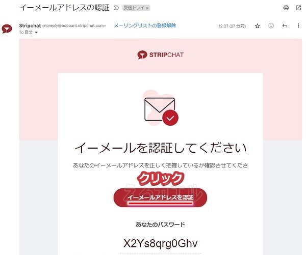 stripchatの会員登録手順6