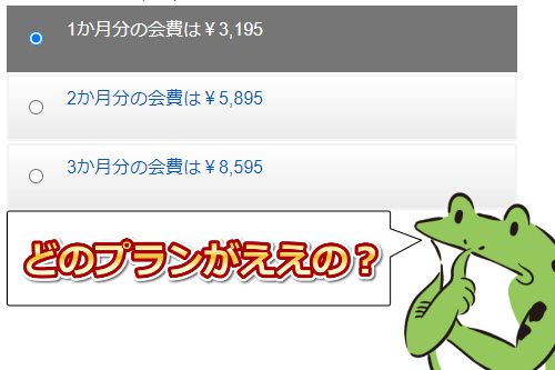 tokyo face fuck【東京強制フェラ】の料金の選び方