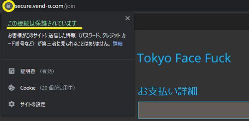 tokyo face fuck【東京強制フェラ】の決済ページはSSL化されている