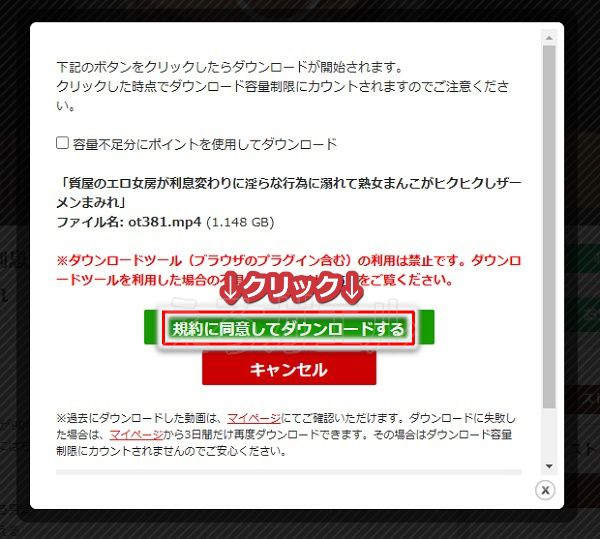 東京熱ダウンロード手順3
